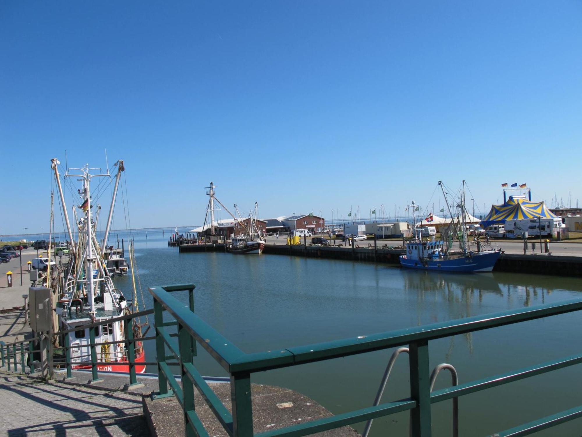 Fewo Abdena Dorn200 Naehe Dornumersiel An Der Nordsee Экстерьер фото